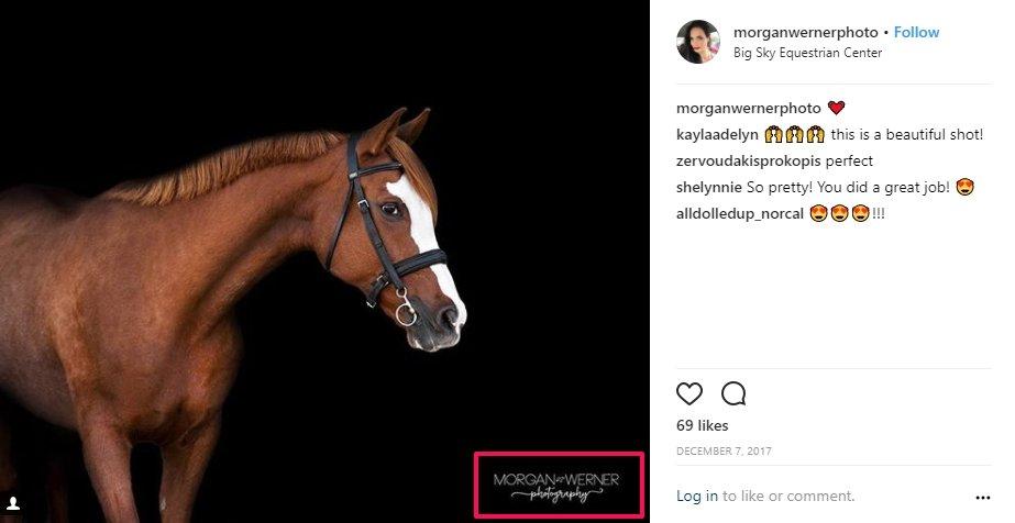 using Instagram for business