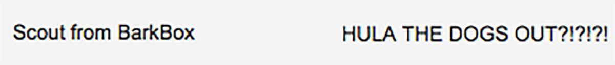 email subject line best practices