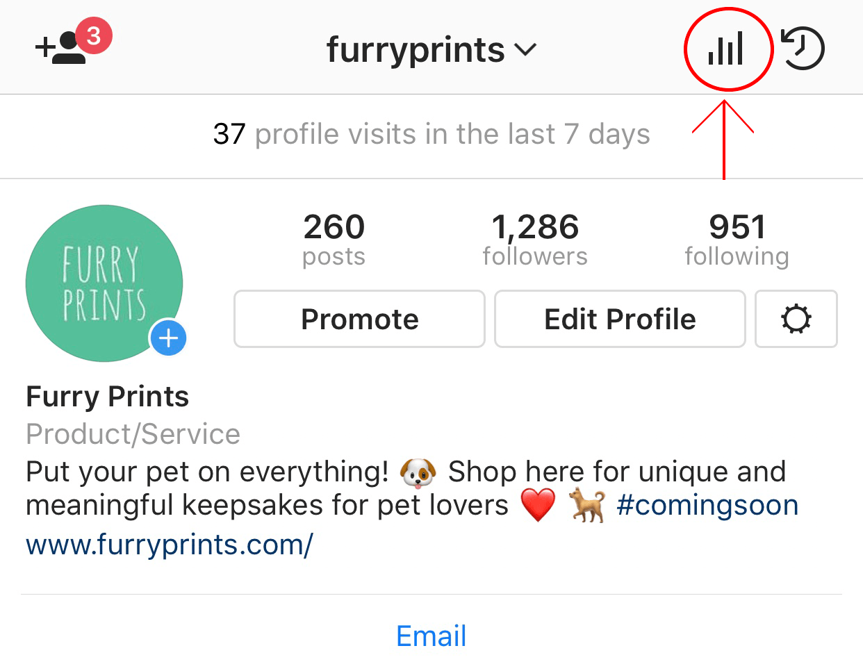 using hashtags on Instagram