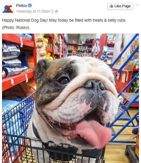 content marketing examples