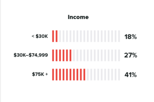 Pinterest users income