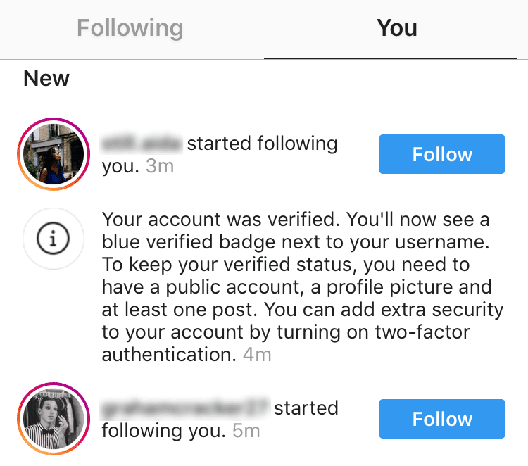 how to get verified on Instagram