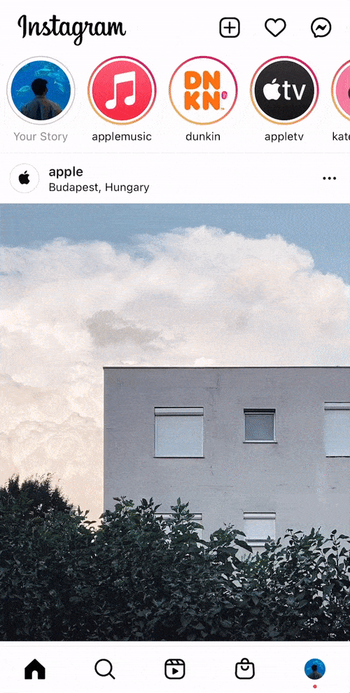 how to get verified on Instagram