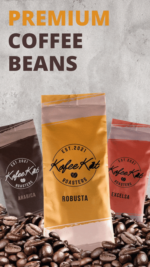 design animated reels ad