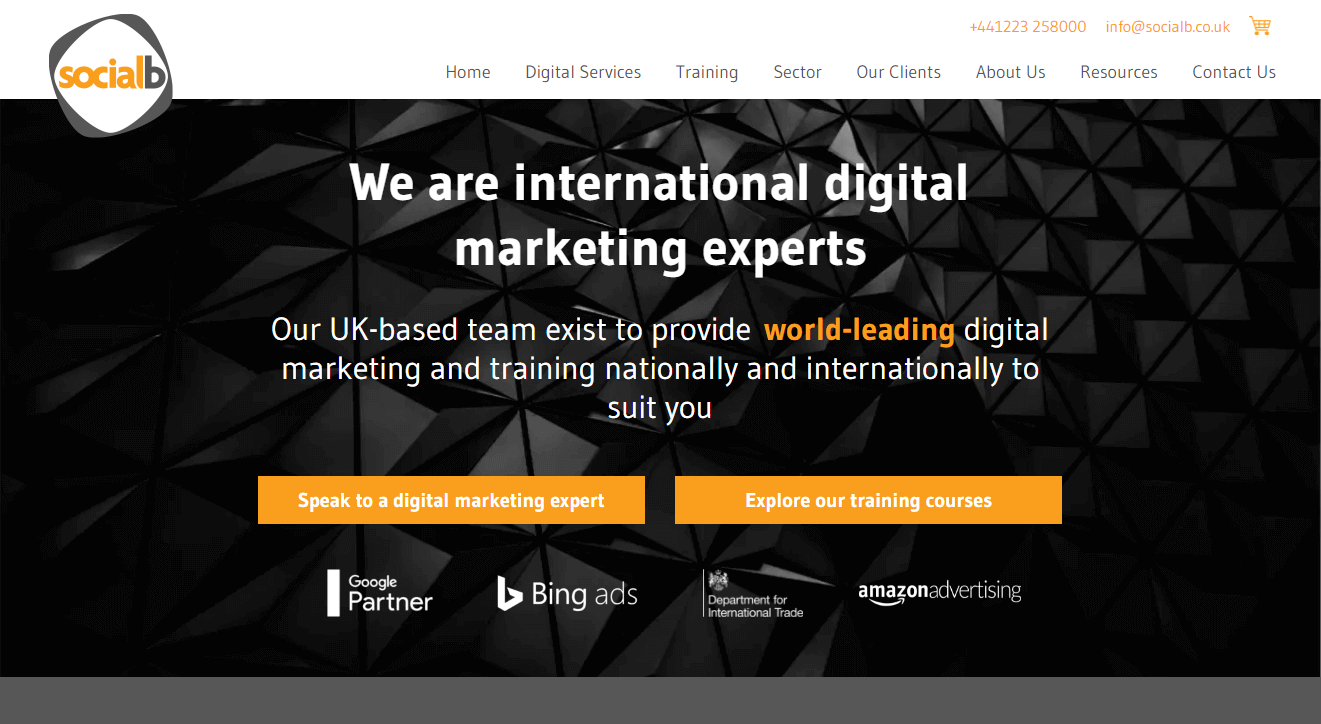 social media management companies