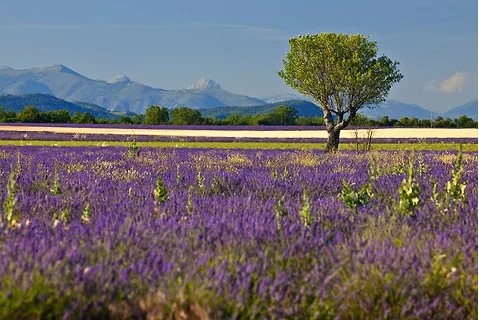 how to take Instagram photos