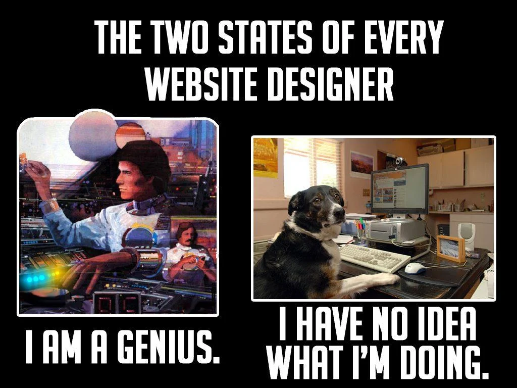 professional website design