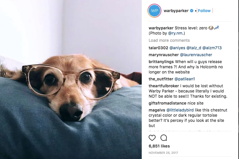 losing Instagram followers