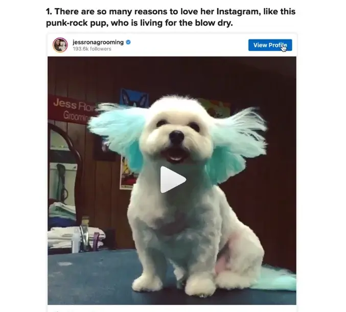 get free instagram followers