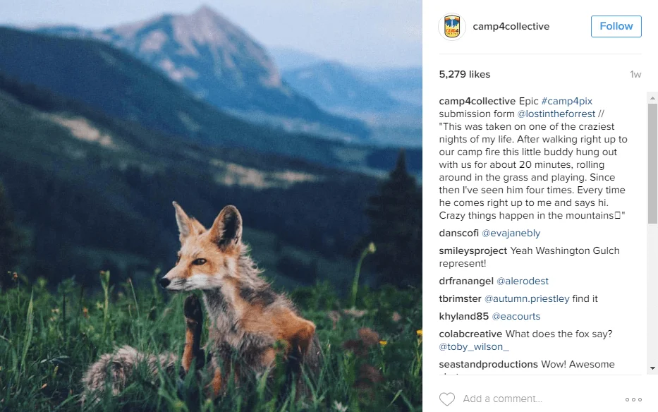 Instagram marketing strategy