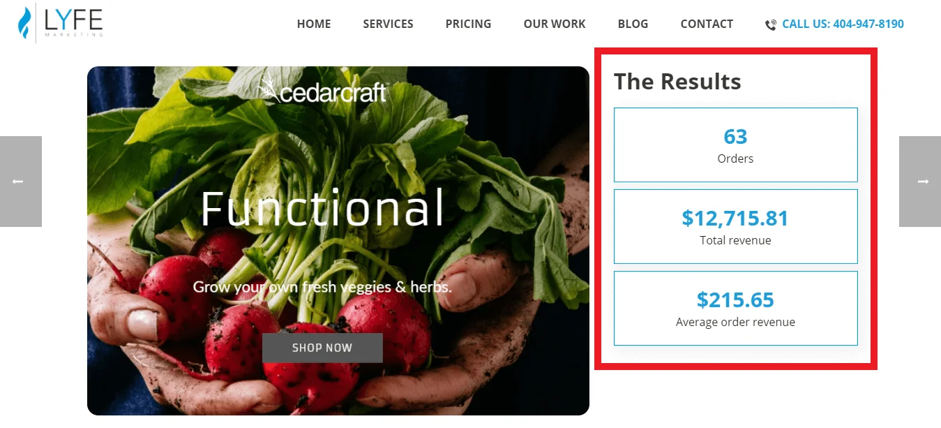 ecommerce case studies