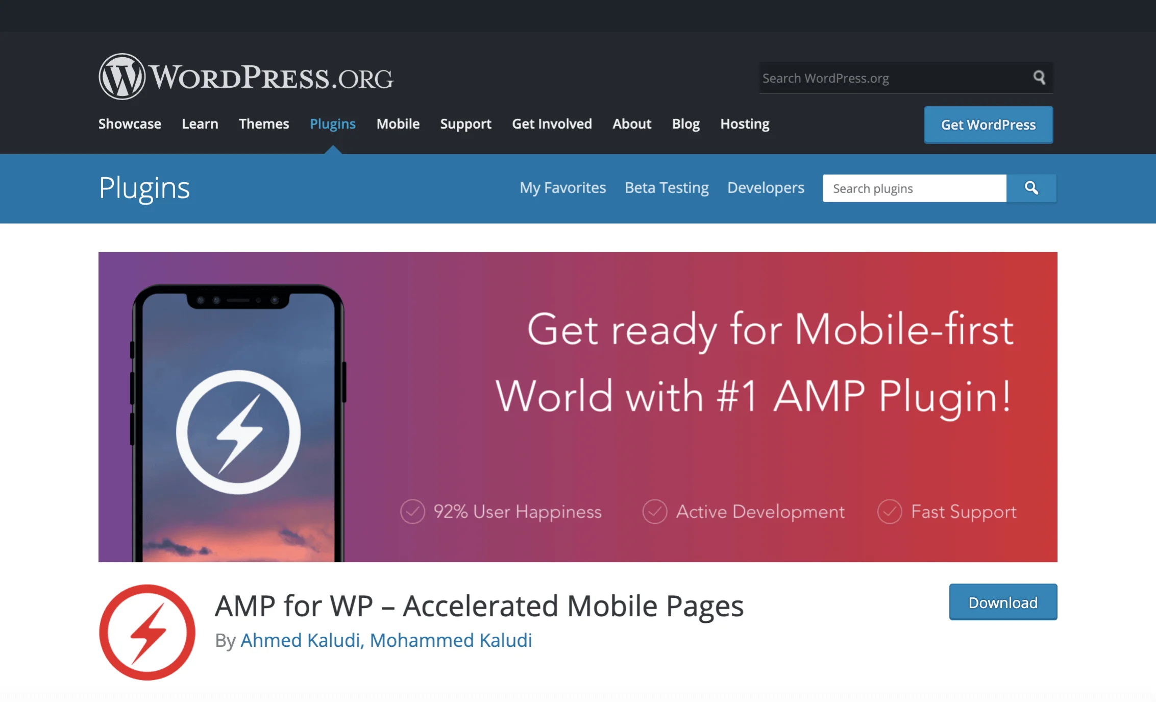 AMP for WordPress