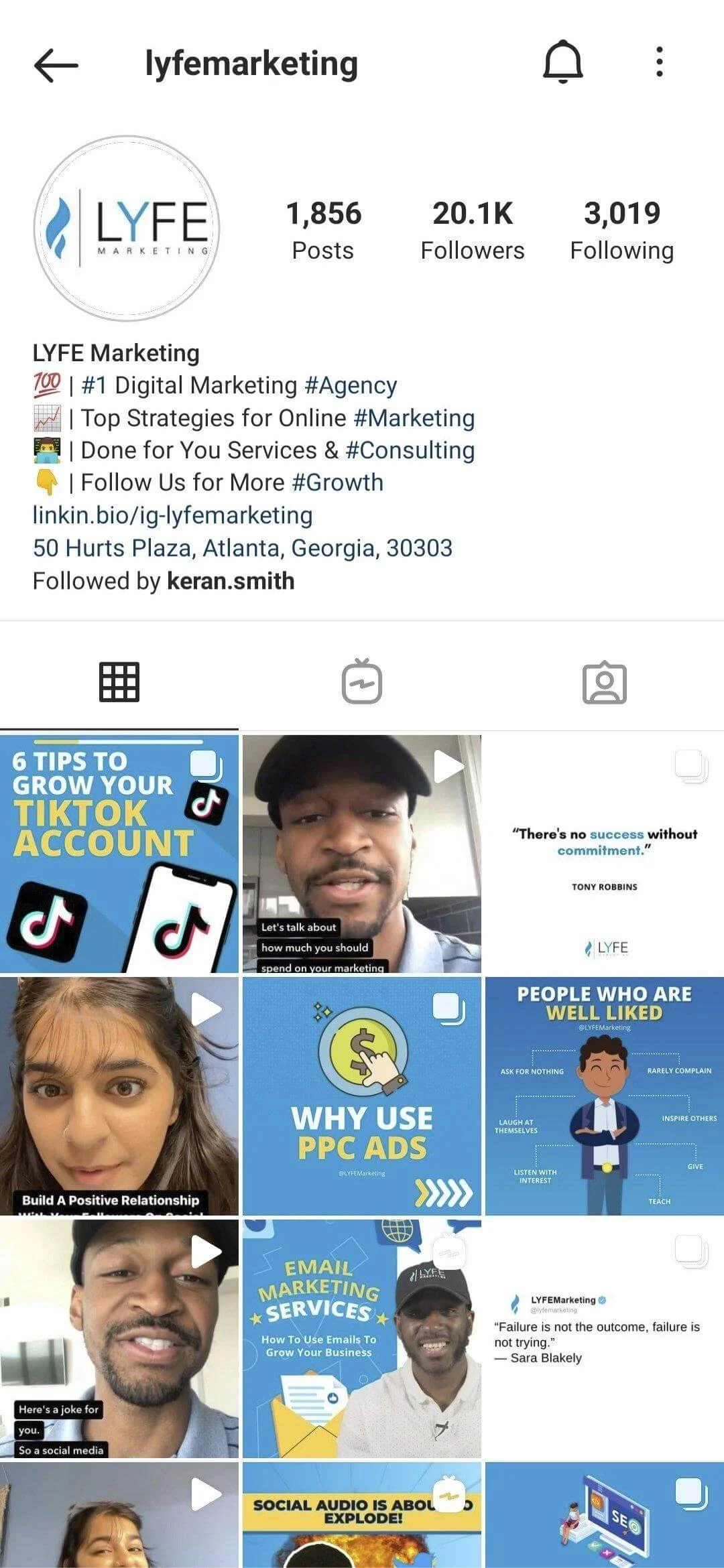 theme for business social feed