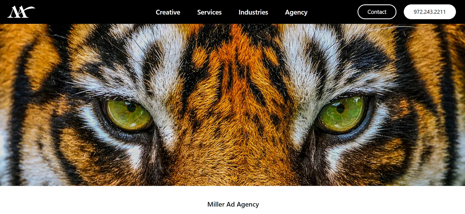 Top Advertising Agencies
