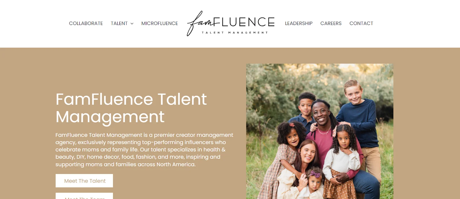 Top Influencer Marketing Agencies