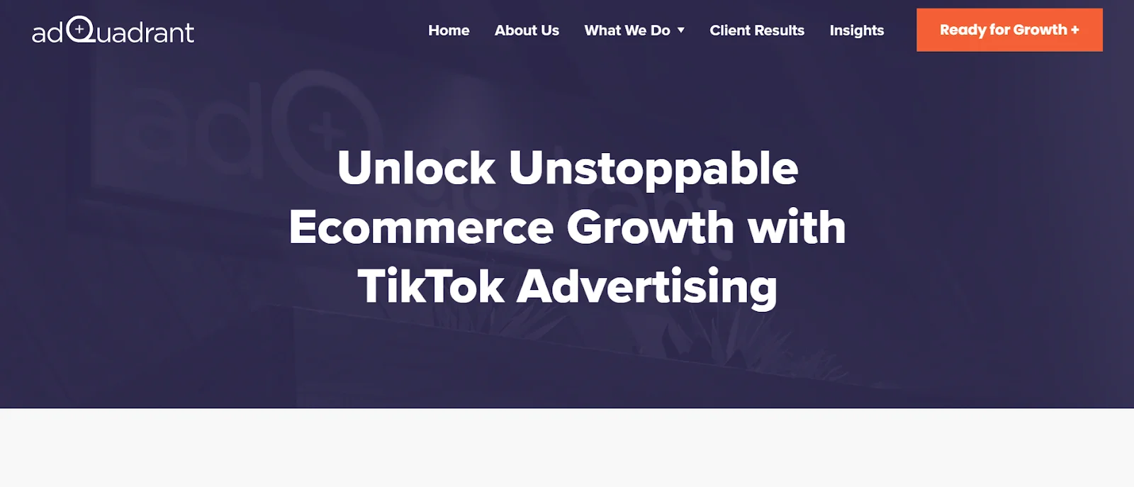 TikTok Agency