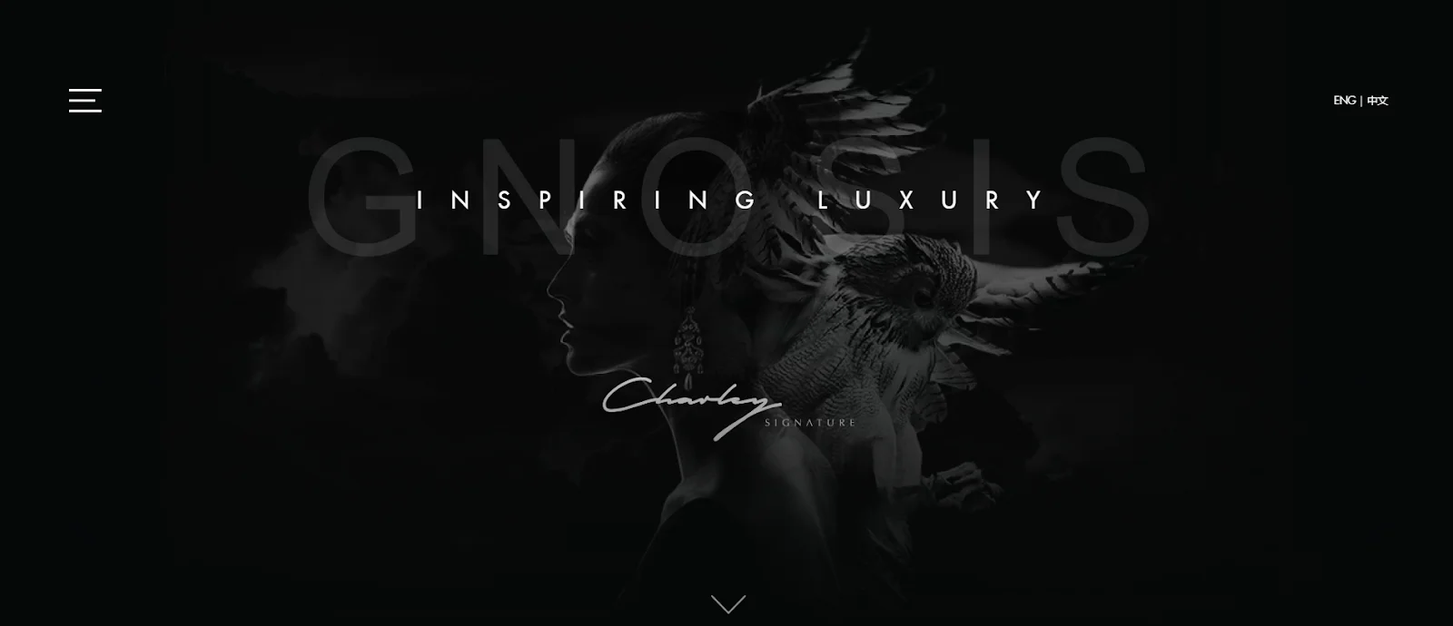 Top Luxury Marketing Agencies
