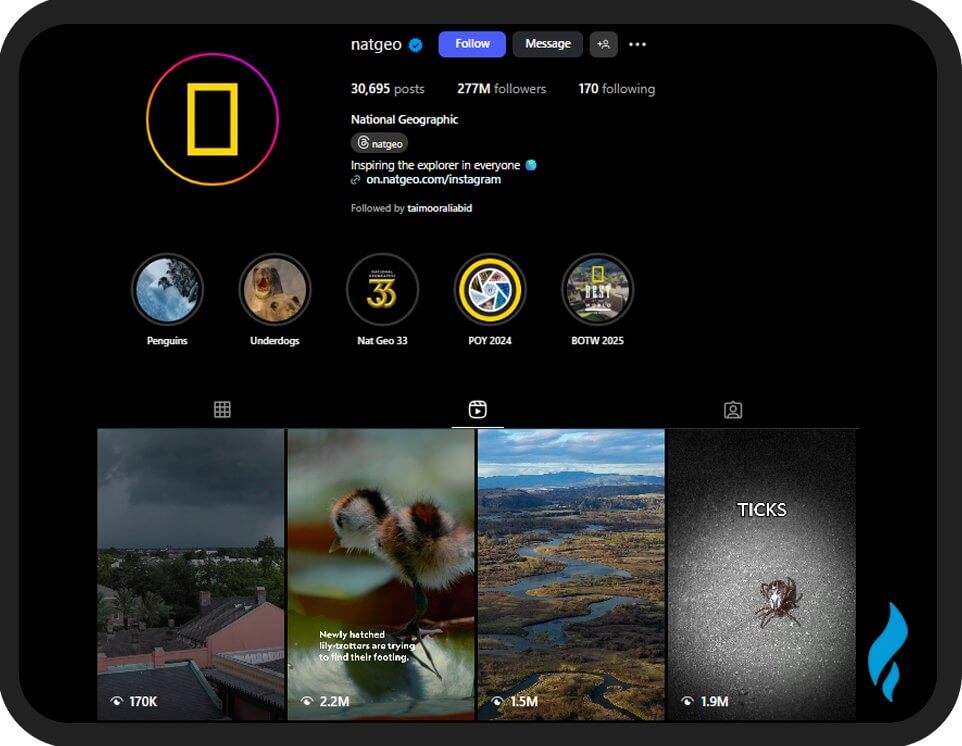 NatGeo: Best Brands on Social Media