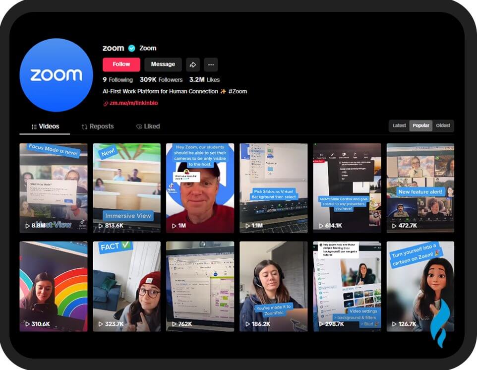 Zoom: Best Brands on Social Media