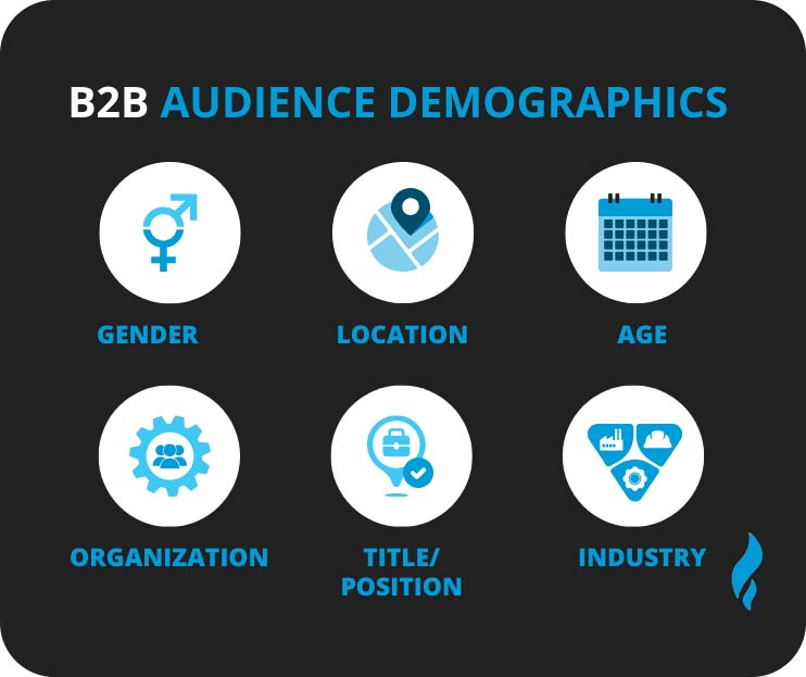 B2B Social Media Audience Demographics 