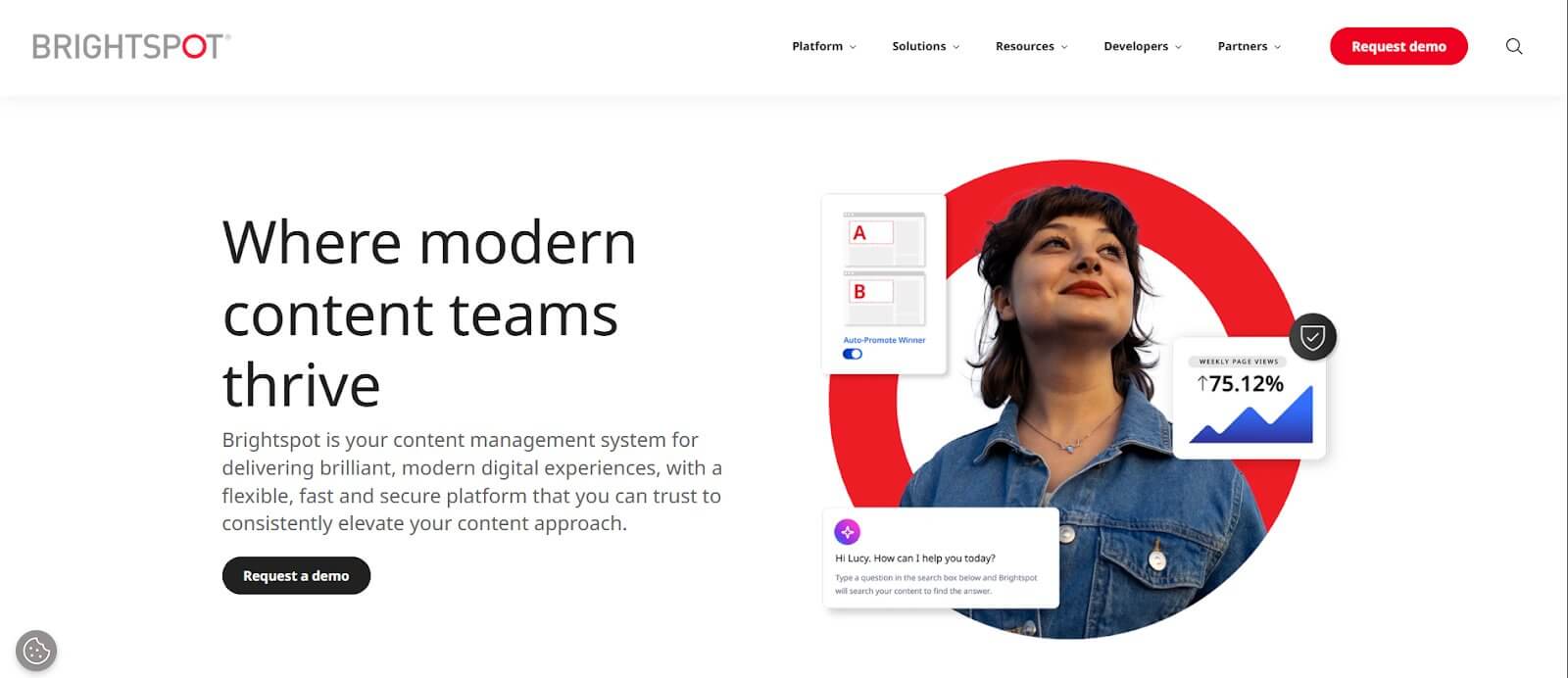 Social media marketing agency Virginia