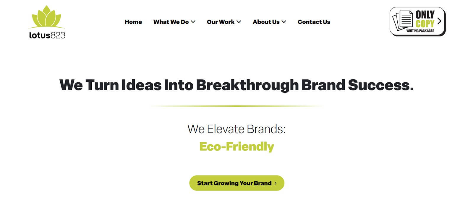 Social Media Marketing Agency New Jersey