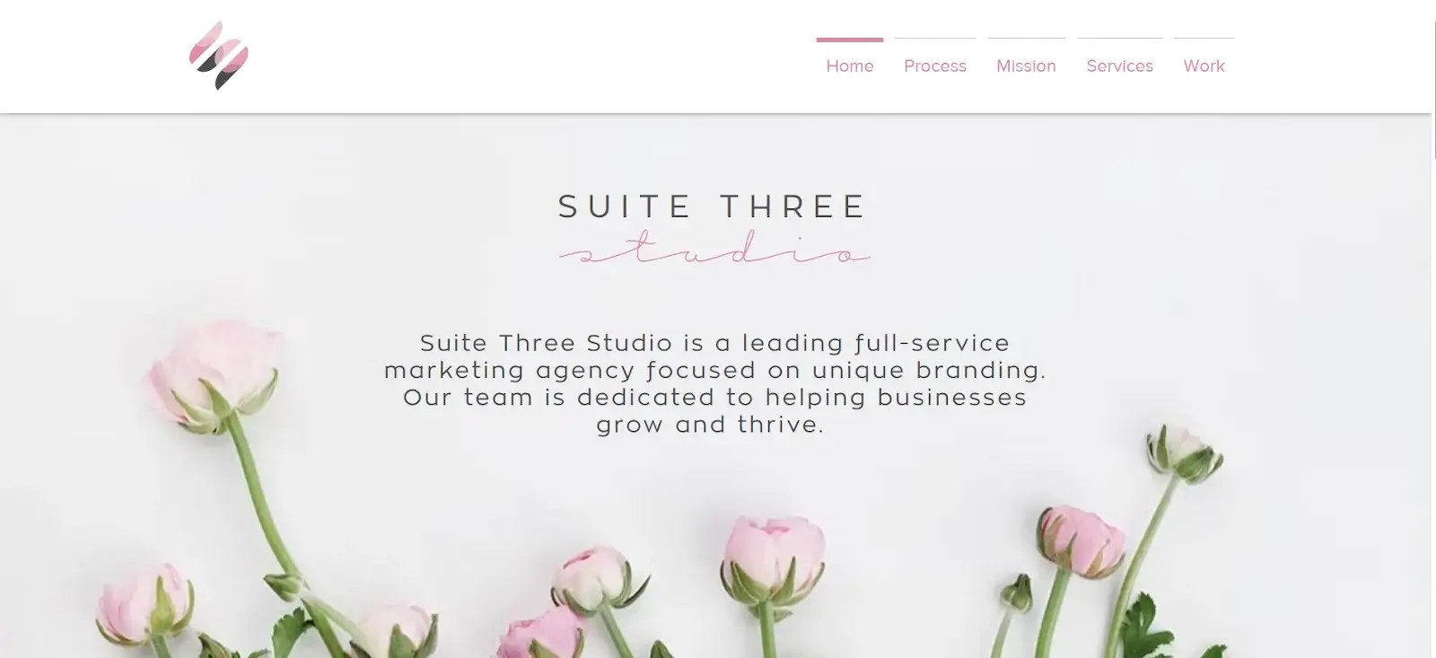 Social Media Agency Denver