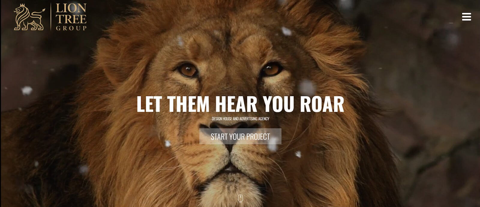 Madison Social Media Agency