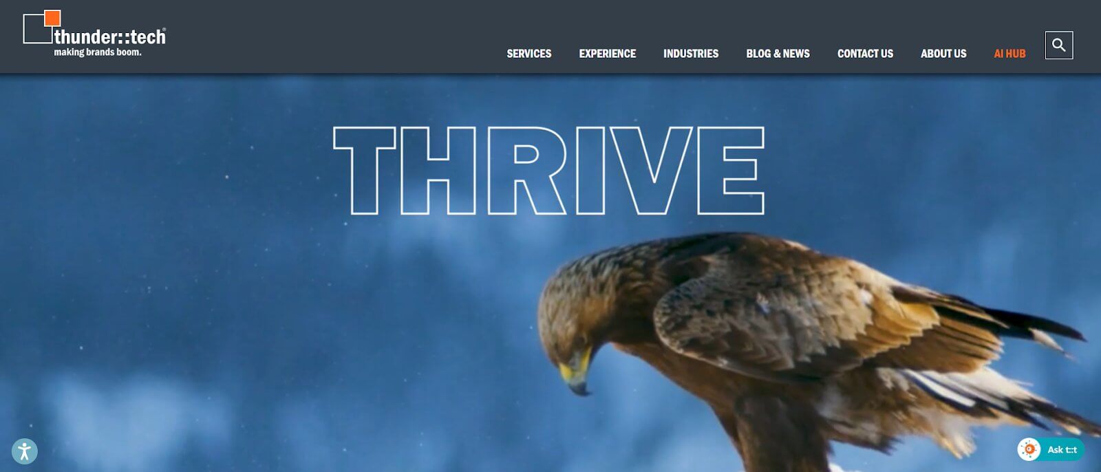 Social Media Agency Cleveland​