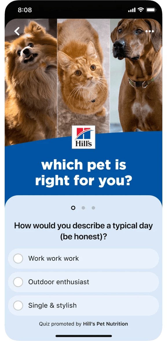 Pinterest Quiz ads format for interactive web advertising