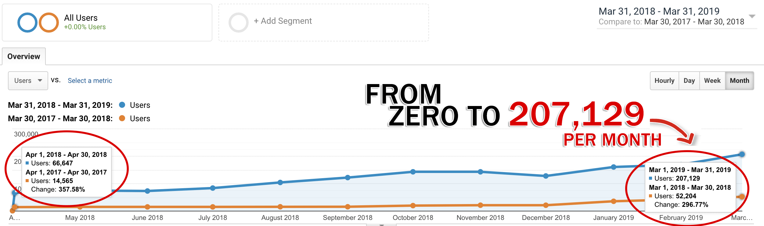 social media marketing consultant