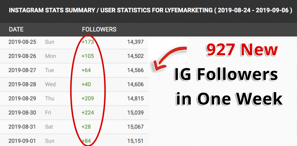 social media marketing consultant