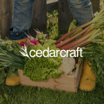 CedarCraft logo.