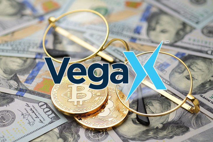 vegax holdings
